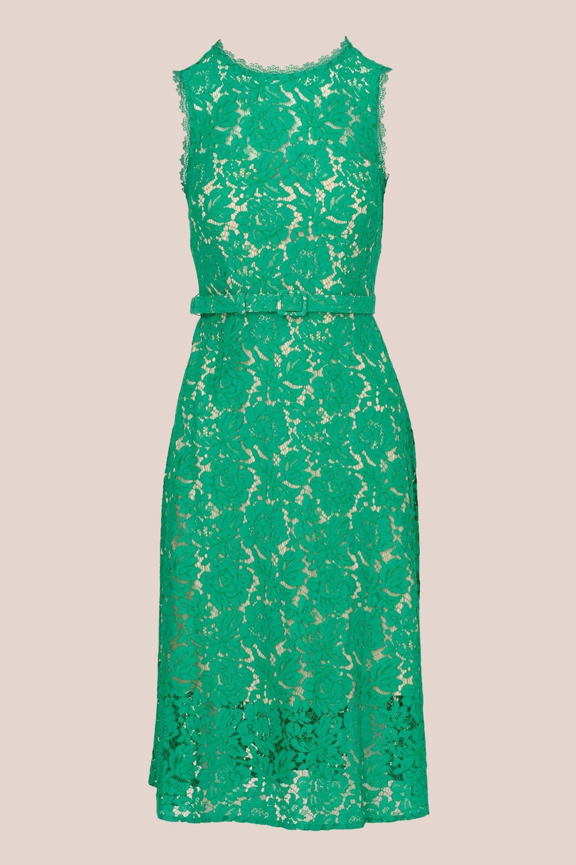 Adrianna Papell Green Lace Midi Dress - Image 5 of 7