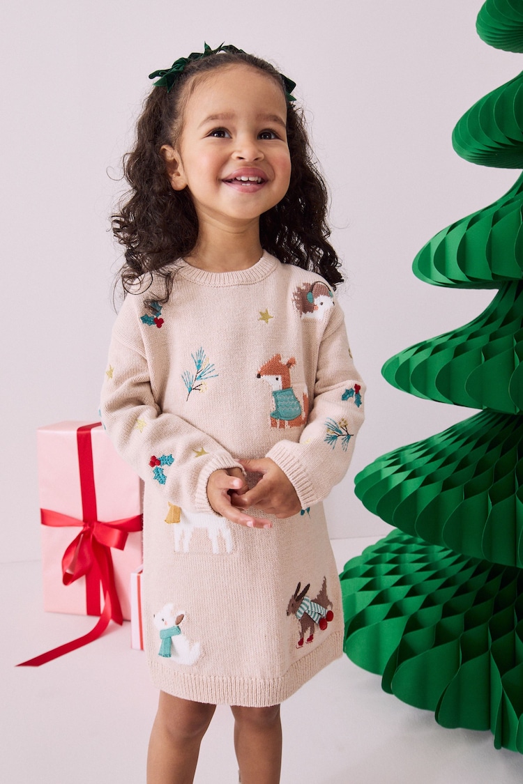 Ecru Marl Christmas Character Jumper Dress (3mths-7yrs) - Image 1 of 4