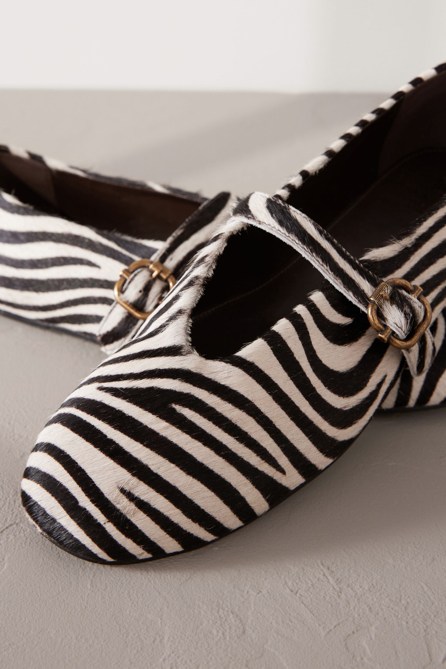 Gucci zebra sneakers on sale