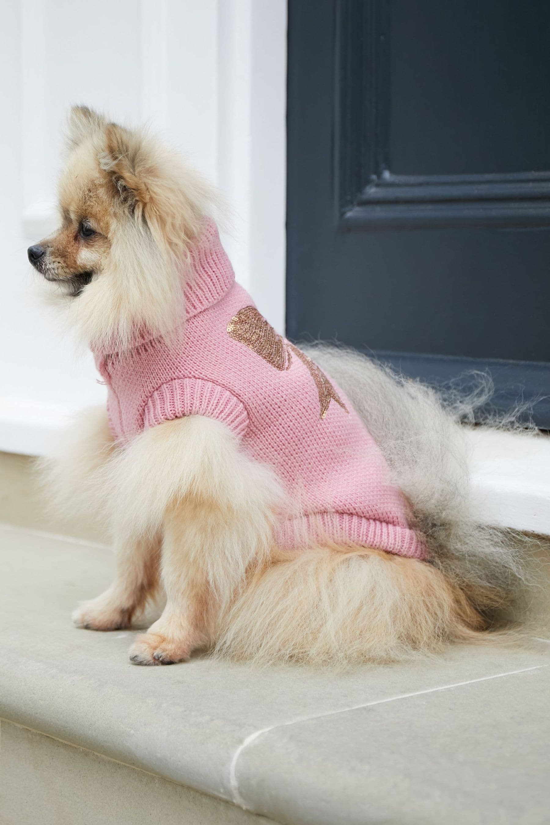 Buy Lipsy Pink Super Soft Dog Jumper from Next Luxembourg
