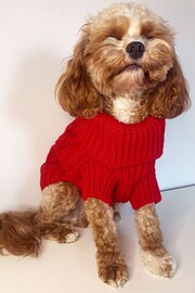 Lipsy Red Super Soft Cable Knit Dog Jumper - Image 2 of 3