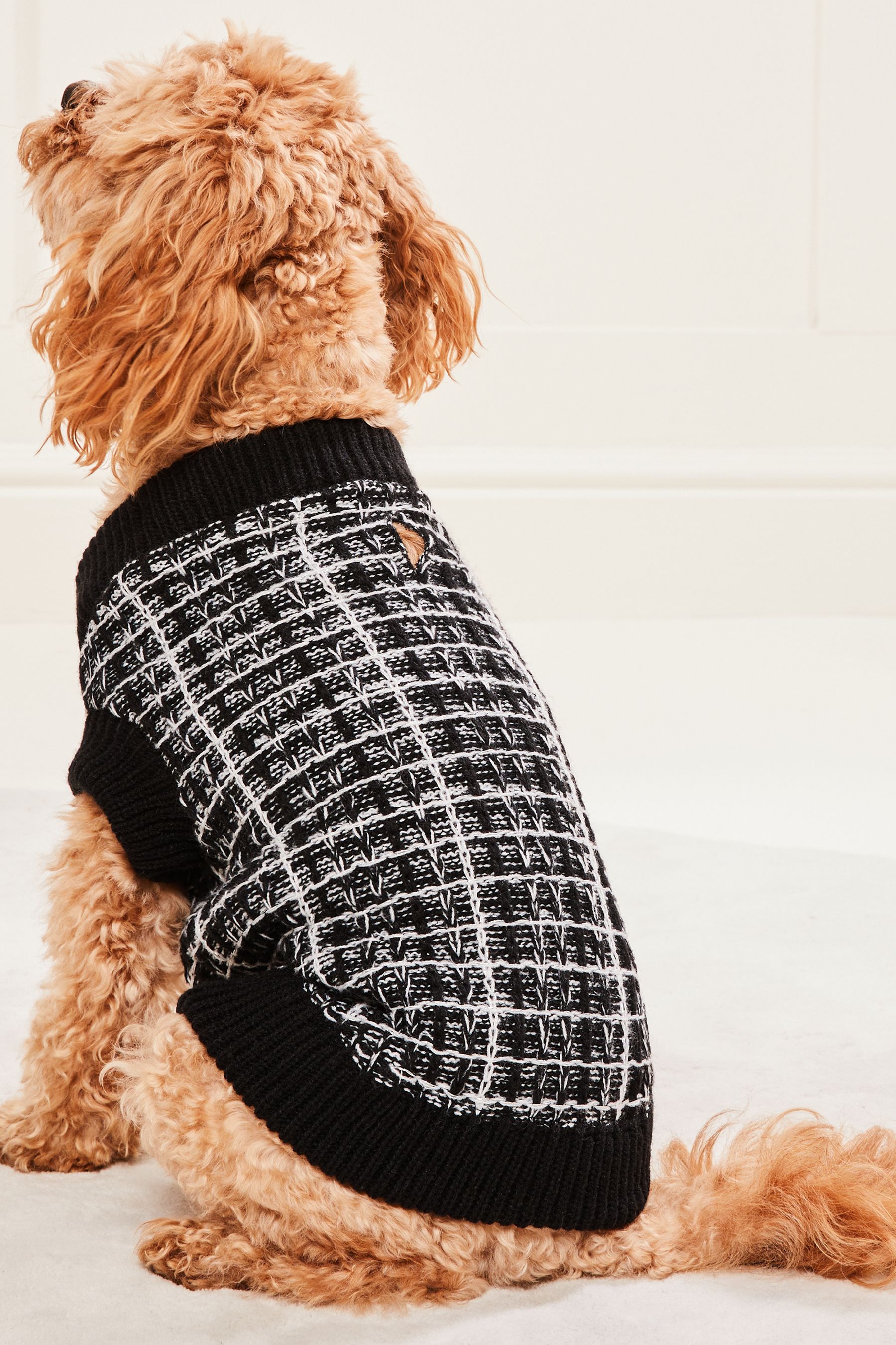 Buy Lipsy Black White Boucle Knitted Dog Jumper from Next Luxembourg