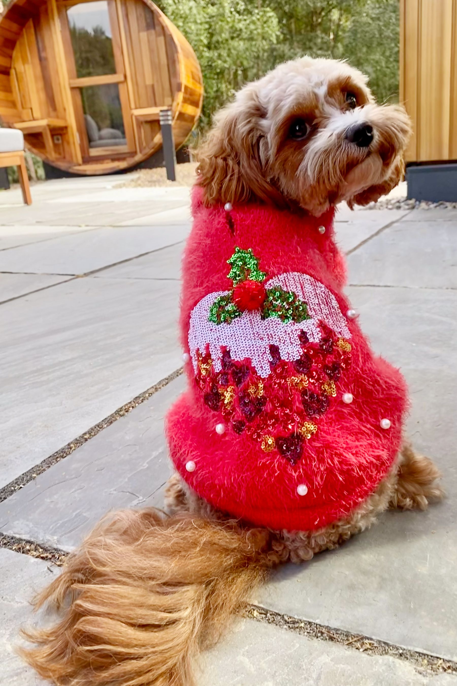 Dog christmas jumper top