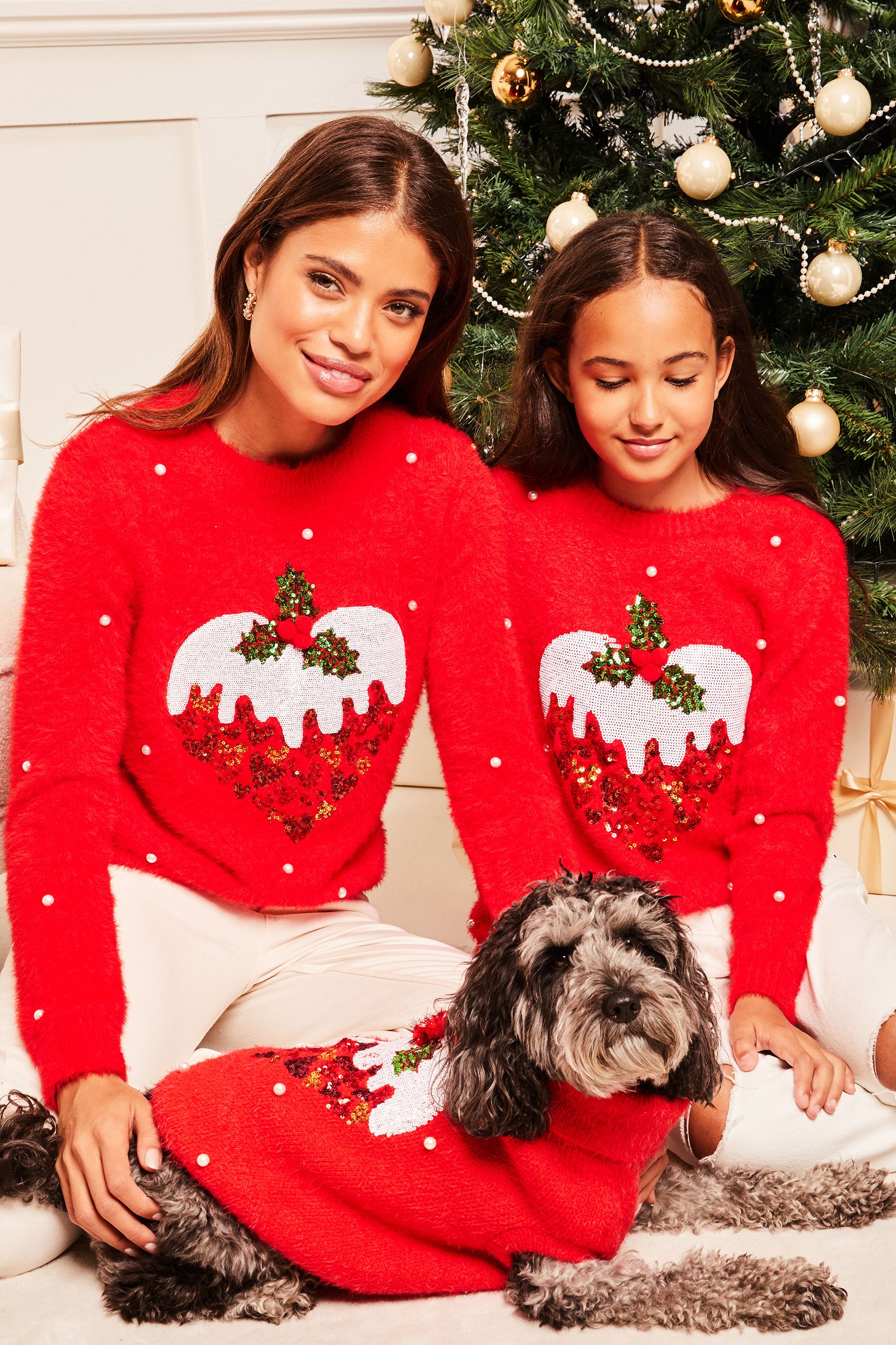 Buy Lipsy Red Christmas Dog Jumper from Next Luxembourg