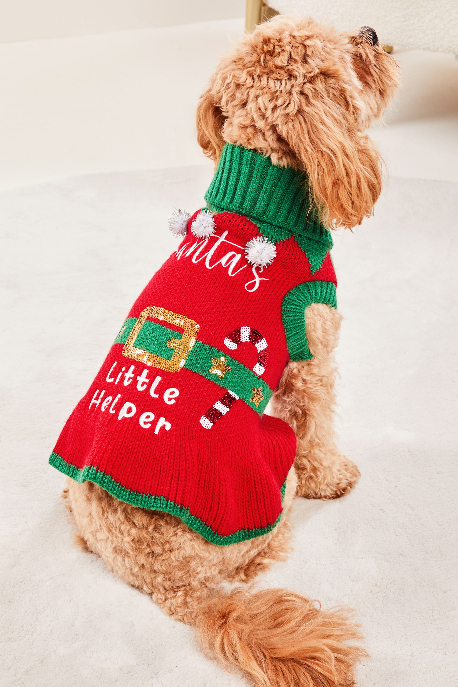 Buy Lipsy Red Santas Little Helper Christmas Dog Jumper from Next Luxembourg