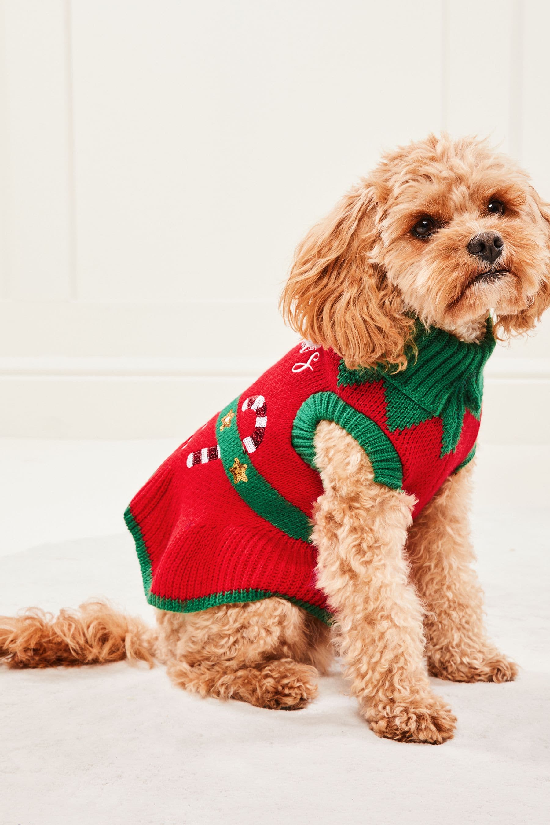 Buy Lipsy Red Santas Little Helper Christmas Dog Jumper from Next Luxembourg