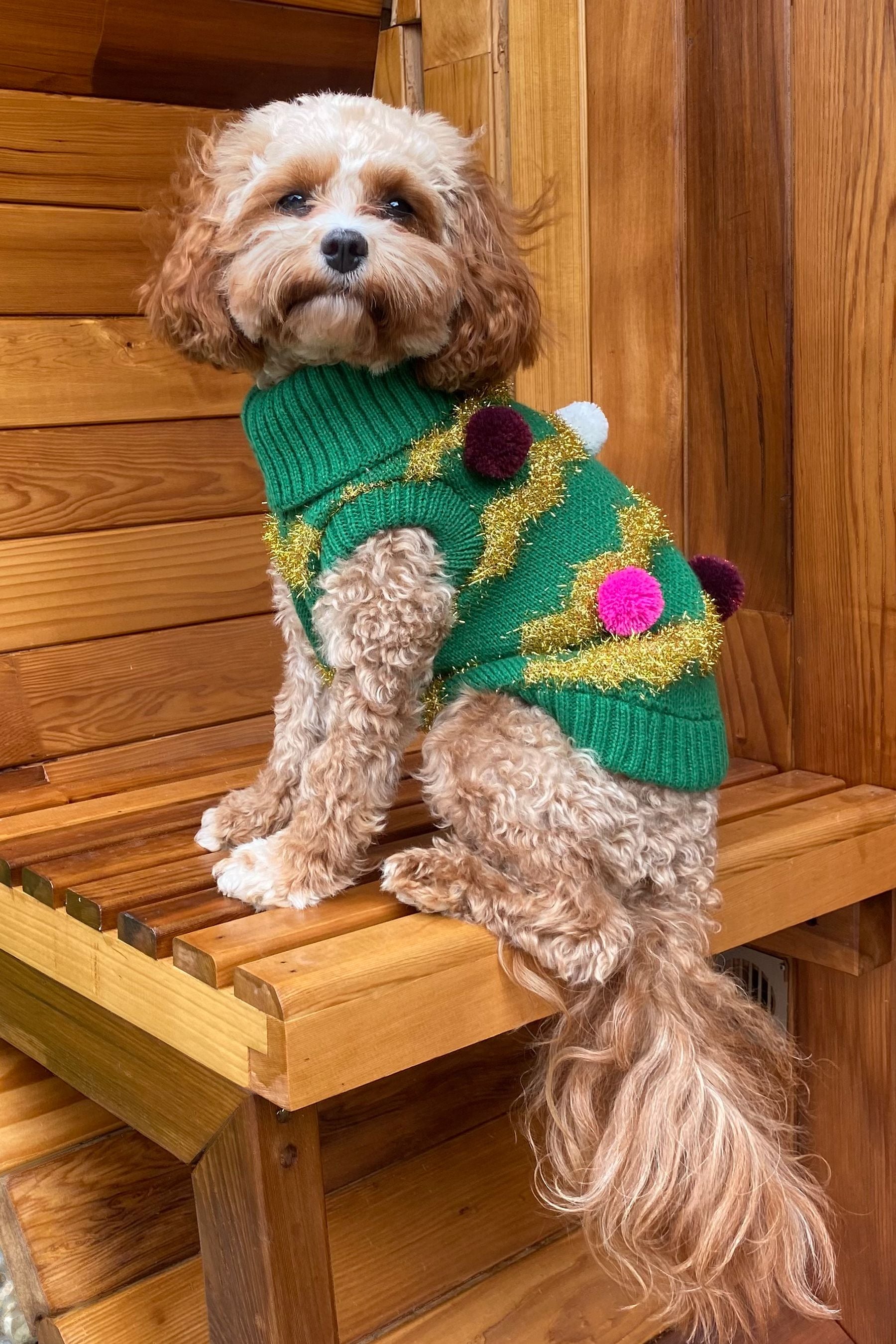 Little pudding dog jumper new arrivals