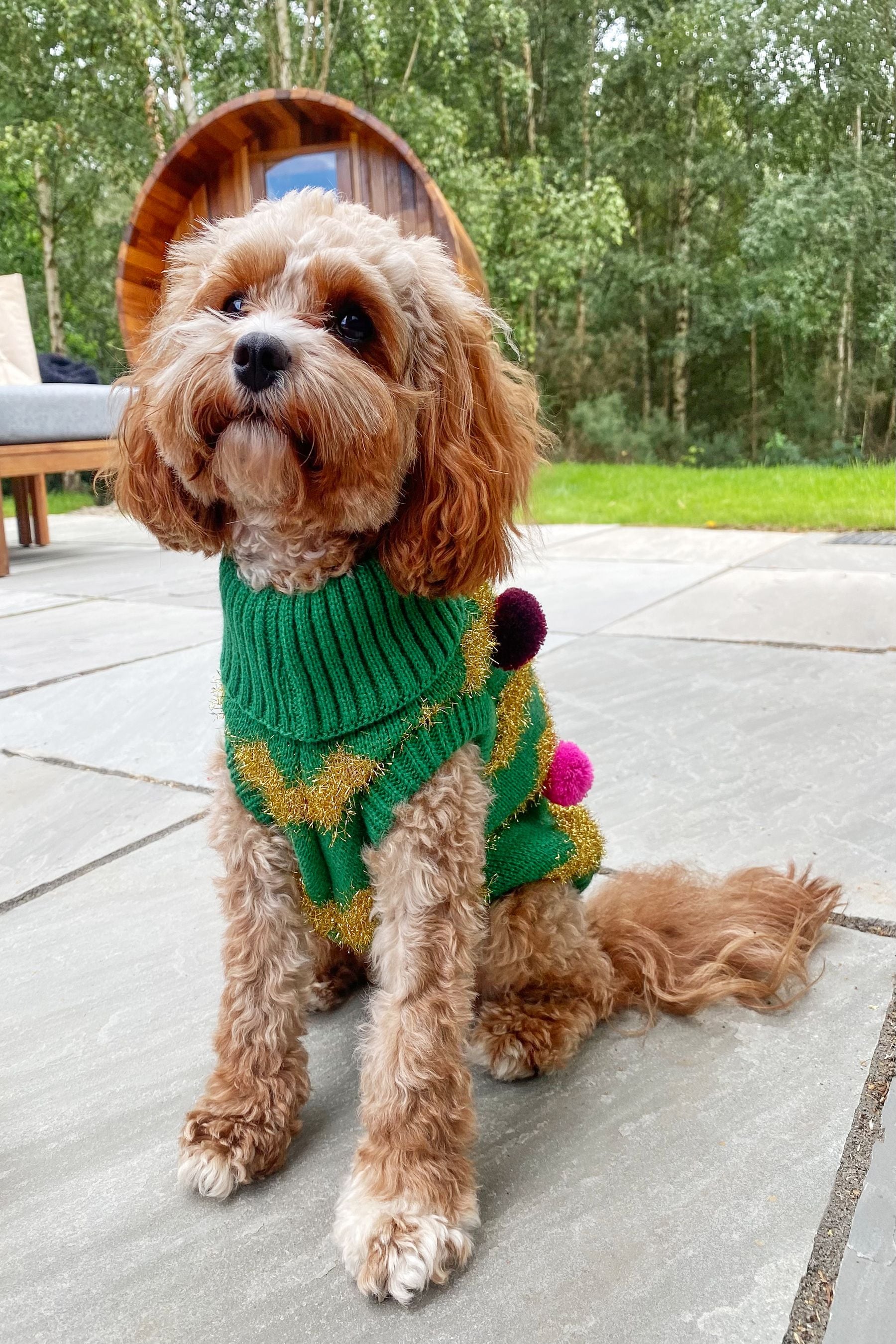 Christmas pudding dog jumper on sale