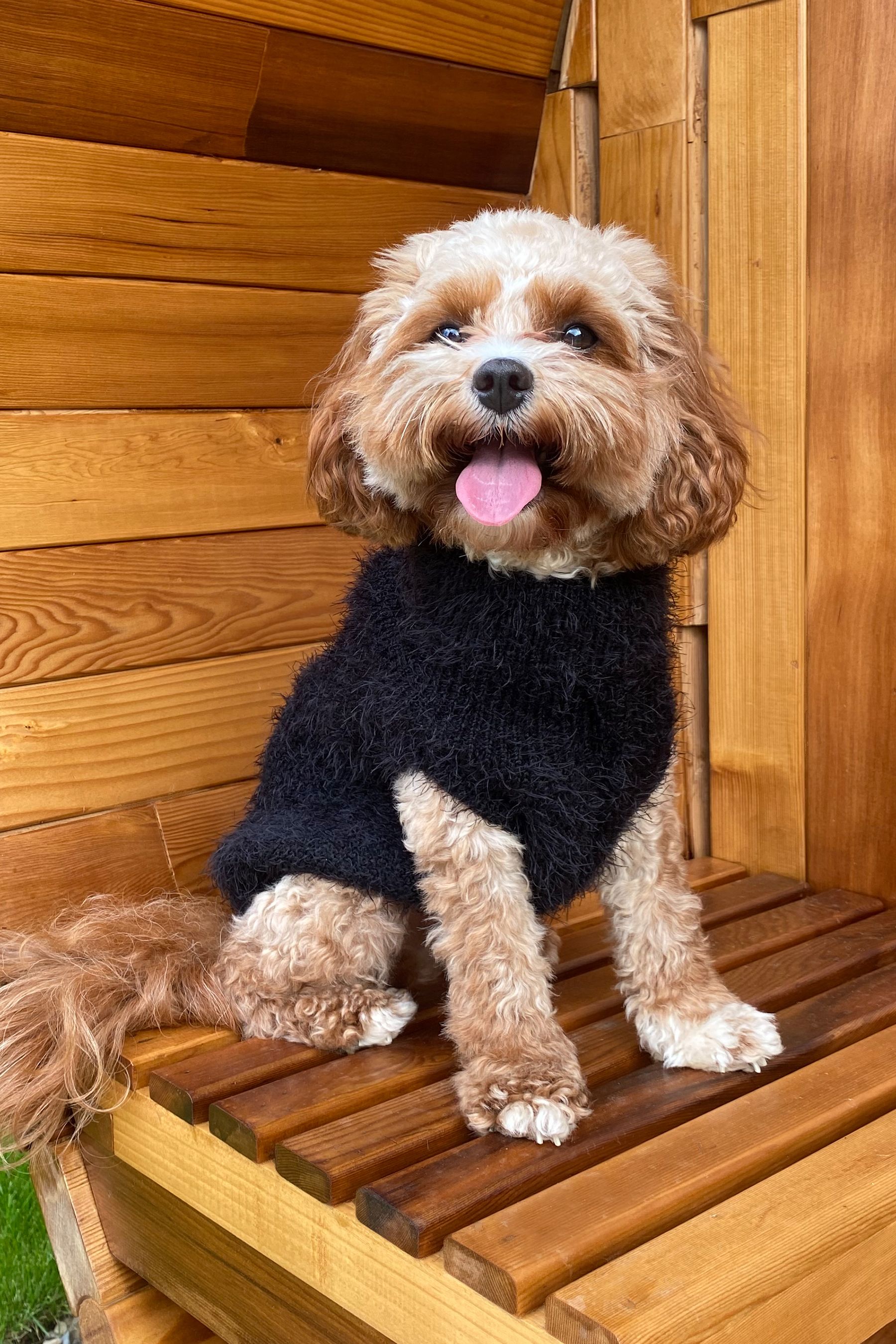 Buy Lipsy Black Christmas Dog Jumper from Next Luxembourg