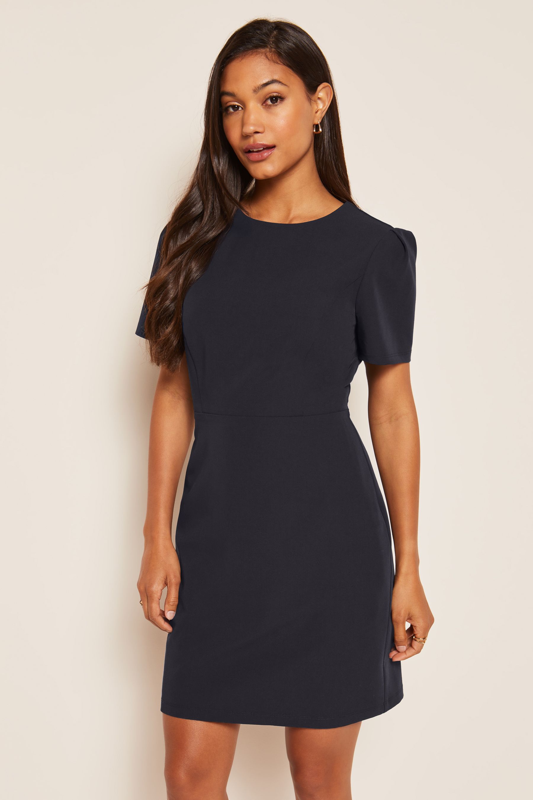 Buy Friends Like These Navy Blue Short Sleeve Tailored Shift Dress from Next Luxembourg