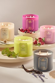 Bath & Body Works Rosewater And Ivy 3-Wick Candle 14.5 oz / 411 g - Image 5 of 9