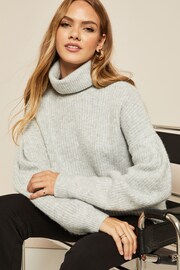 Friends Like These Grey Petite Cosy Roll Neck Rib Jumper - Image 4 of 4