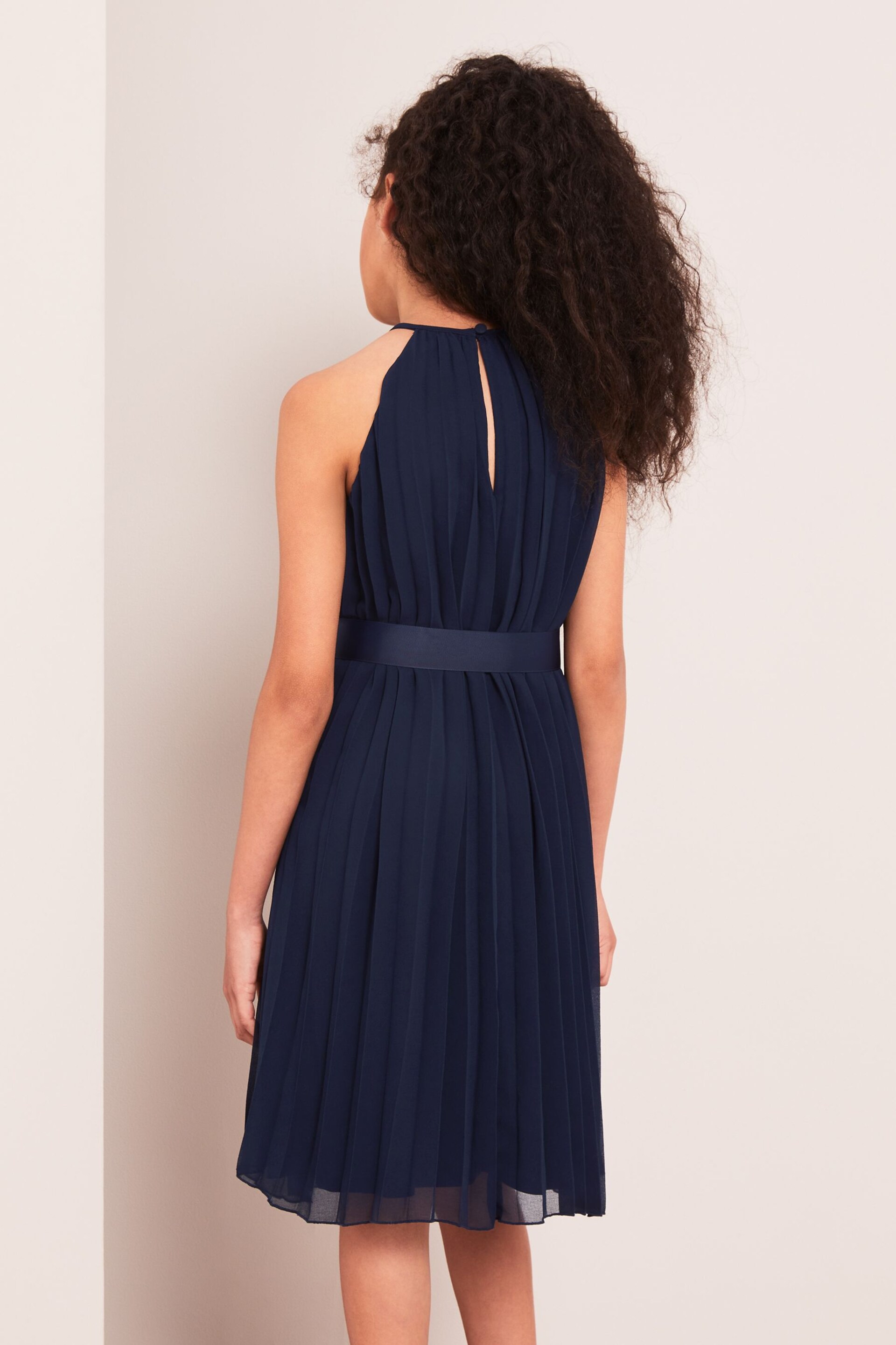 Lipsy Navy Pleated Chiffon Occasion Dress - Image 3 of 4