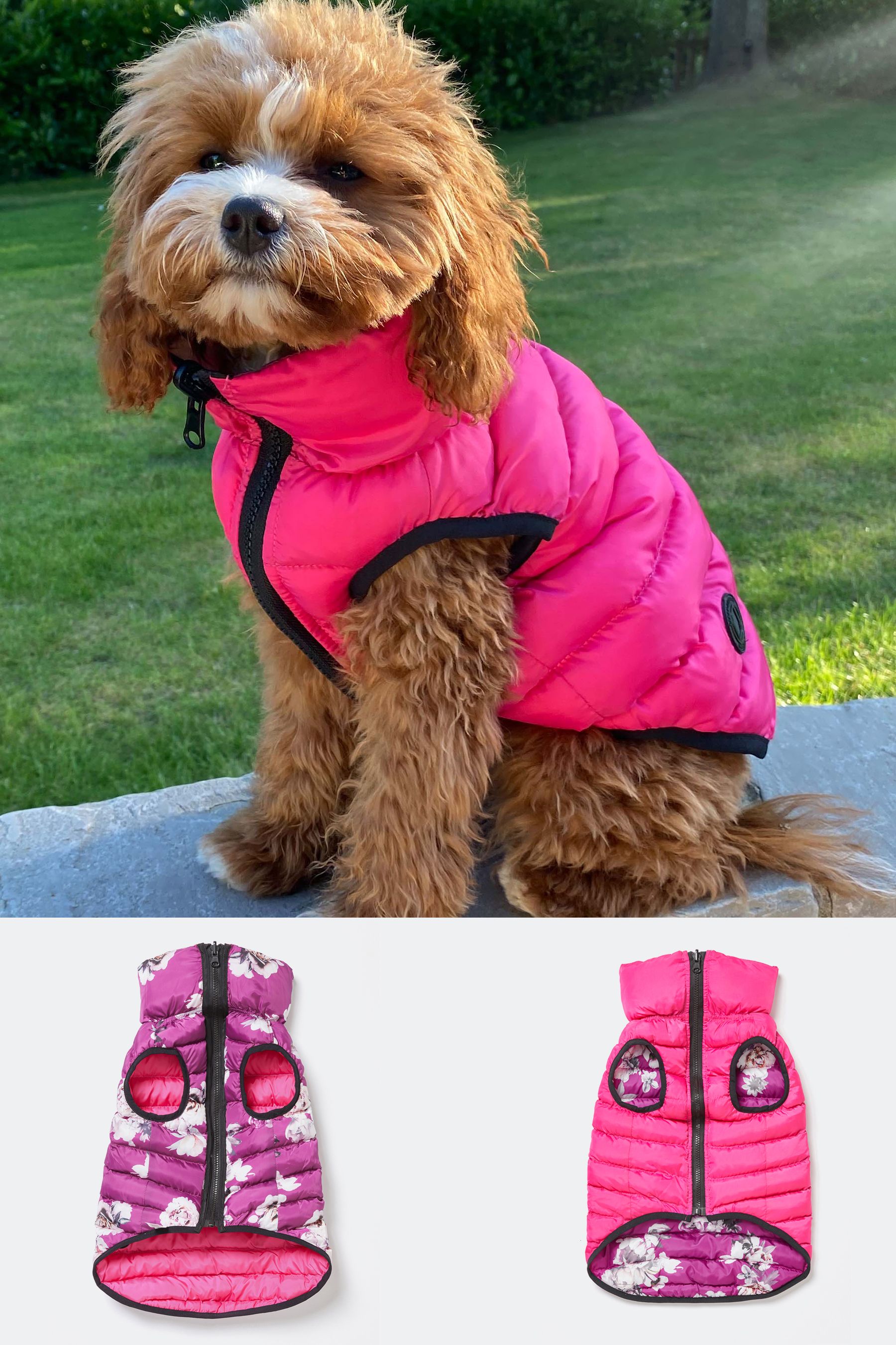 Buy Lipsy Pink Red Reversible Zip Dog Padded Coat from Next Luxembourg