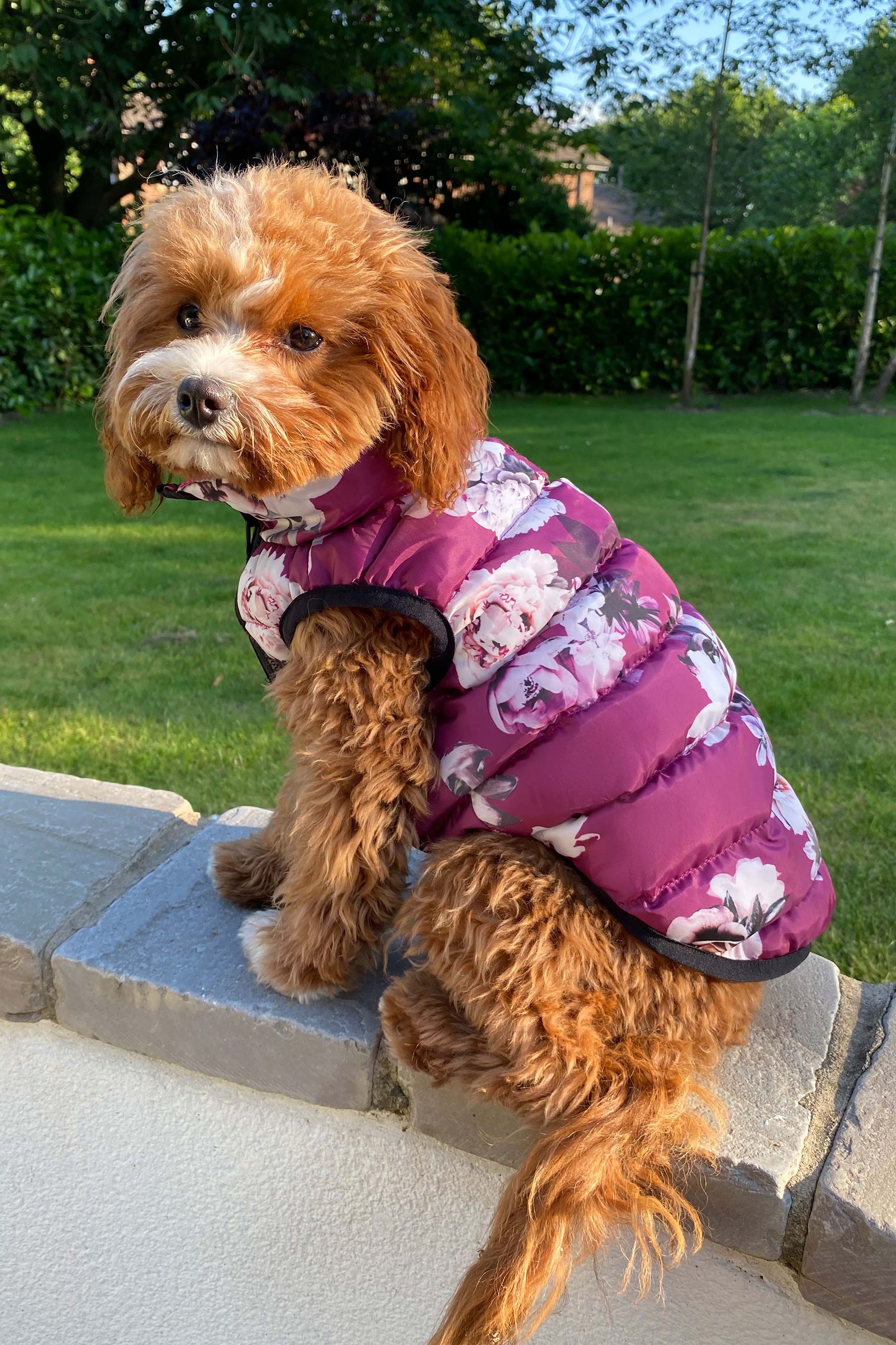 Lipsy reversible coat cheap
