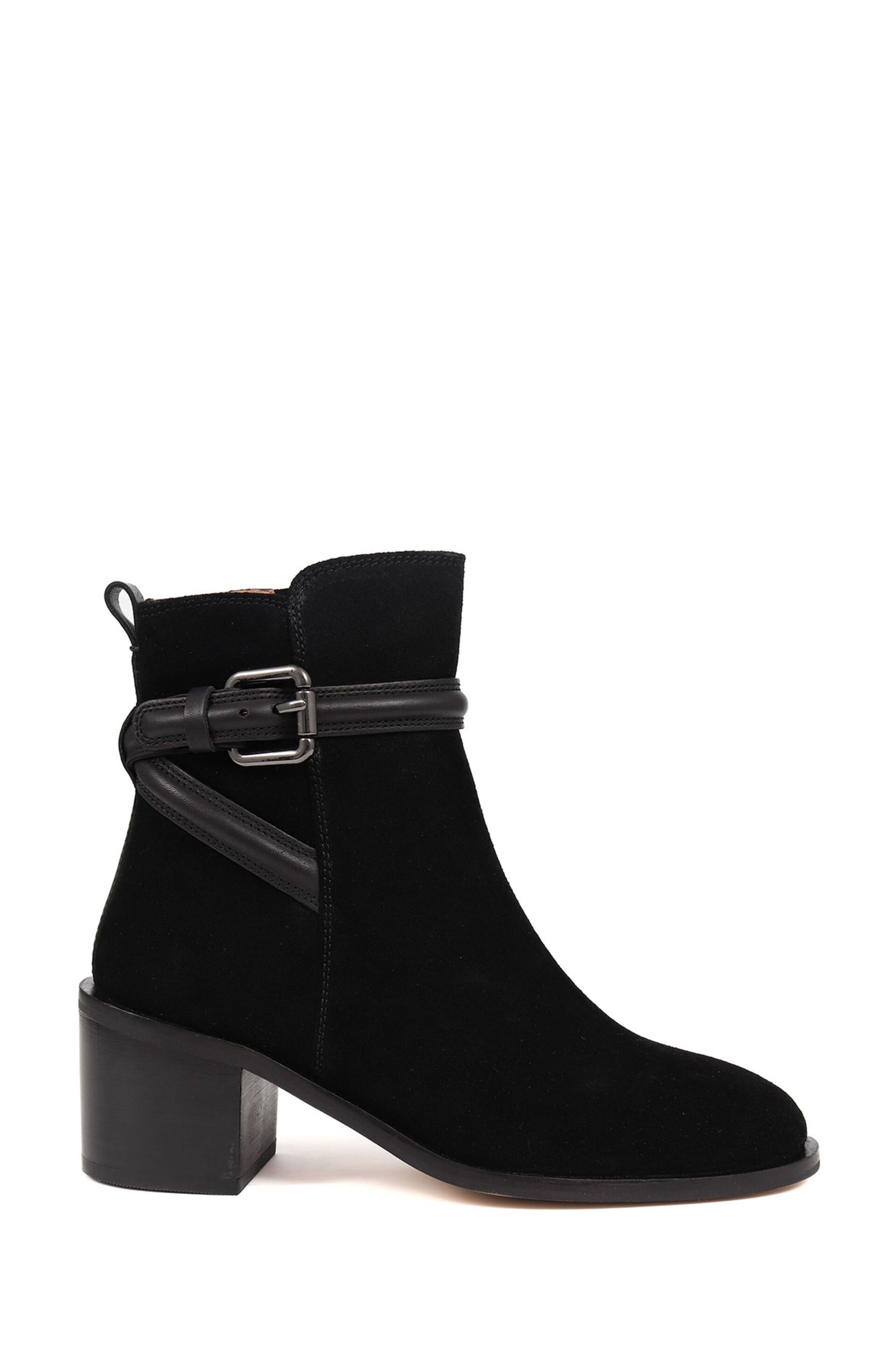 Jones Bootmaker Losabet Leather Buckle Strap Black Ankle Boots - Image 2 of 6