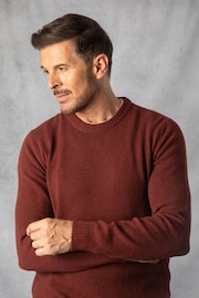 Lakeland Clothing Red British Lambswool Crew Neck Jumper - Image 5 of 6