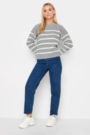 PixieGirl Petite Grey Stripe Crew Neck Jumper - Image 2 of 4