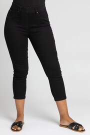 Roman Black Petite Cropped Jeggings - Image 1 of 4