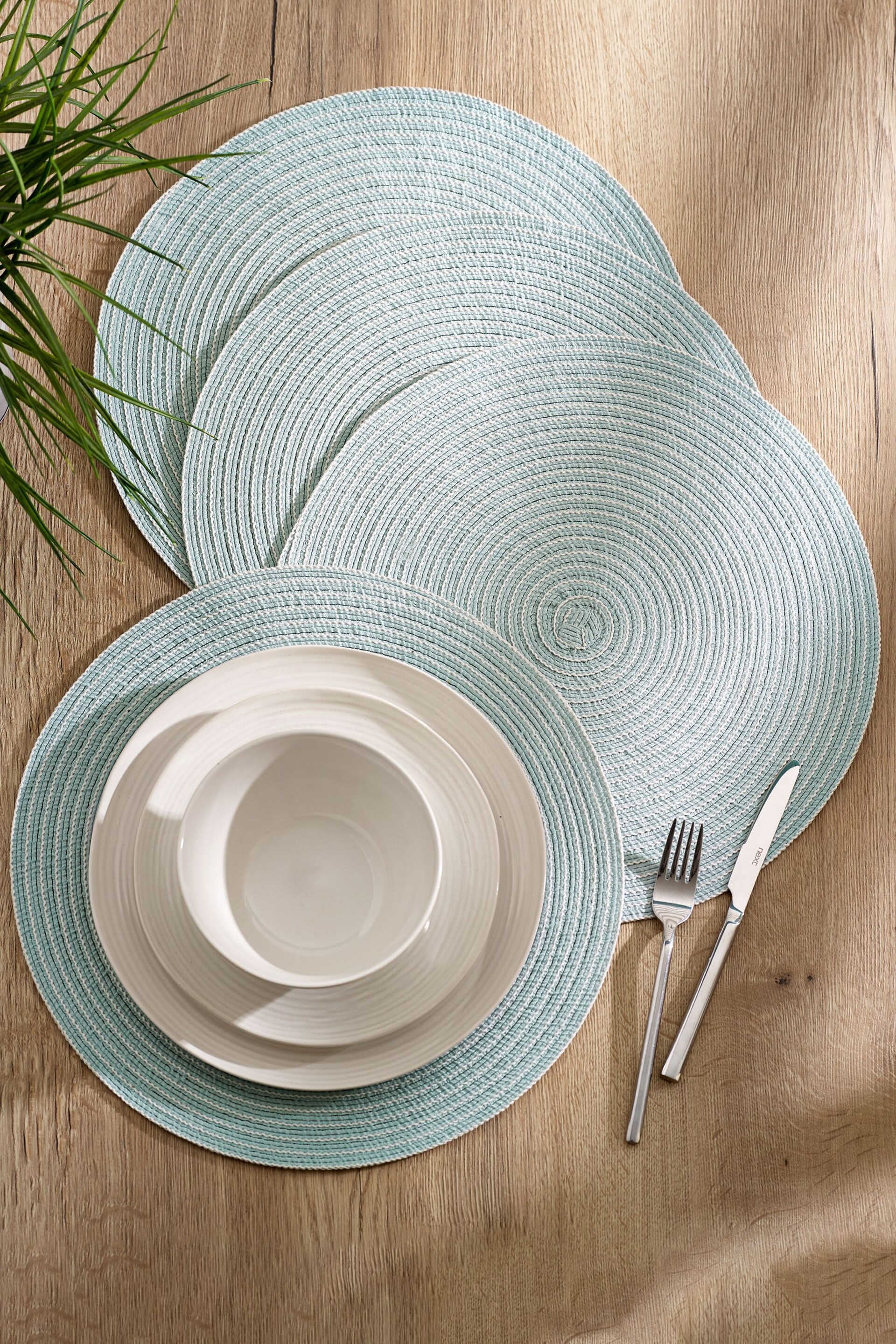 Mint Woven Stripe Placemats Set Of 4 - Image 1 of 3