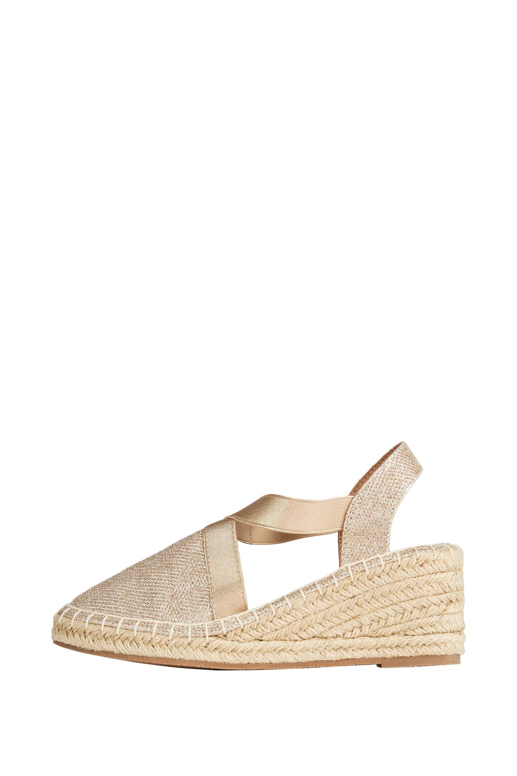 Buy Friends Like These Gold Regular Fit Closed Toe Elastic Strap Espadrille Wedge Shoe from the Next UK online shop