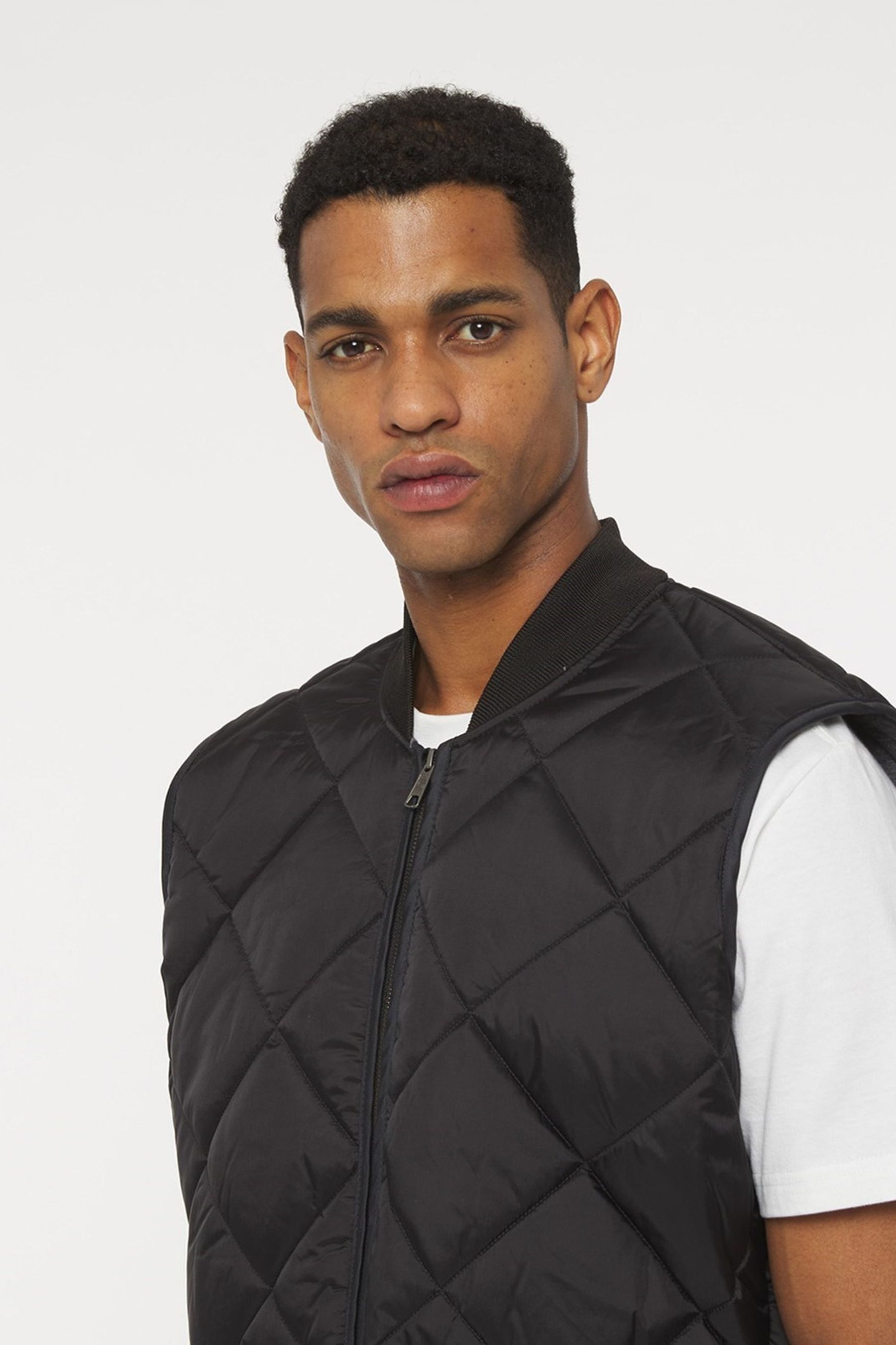 Dickies diamond online