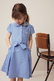 Blue Stripe Cotton Rich Belted School 100% Cotton Dress With Scrunchie (3-14yrs) - Image 1 of 9
