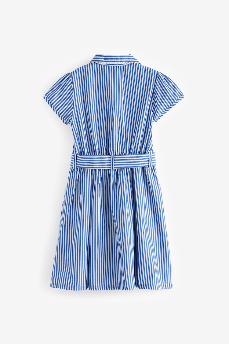 Blue Stripe Cotton Rich Belted School 100% Cotton Dress With Scrunchie (3-14yrs) - Image 7 of 9