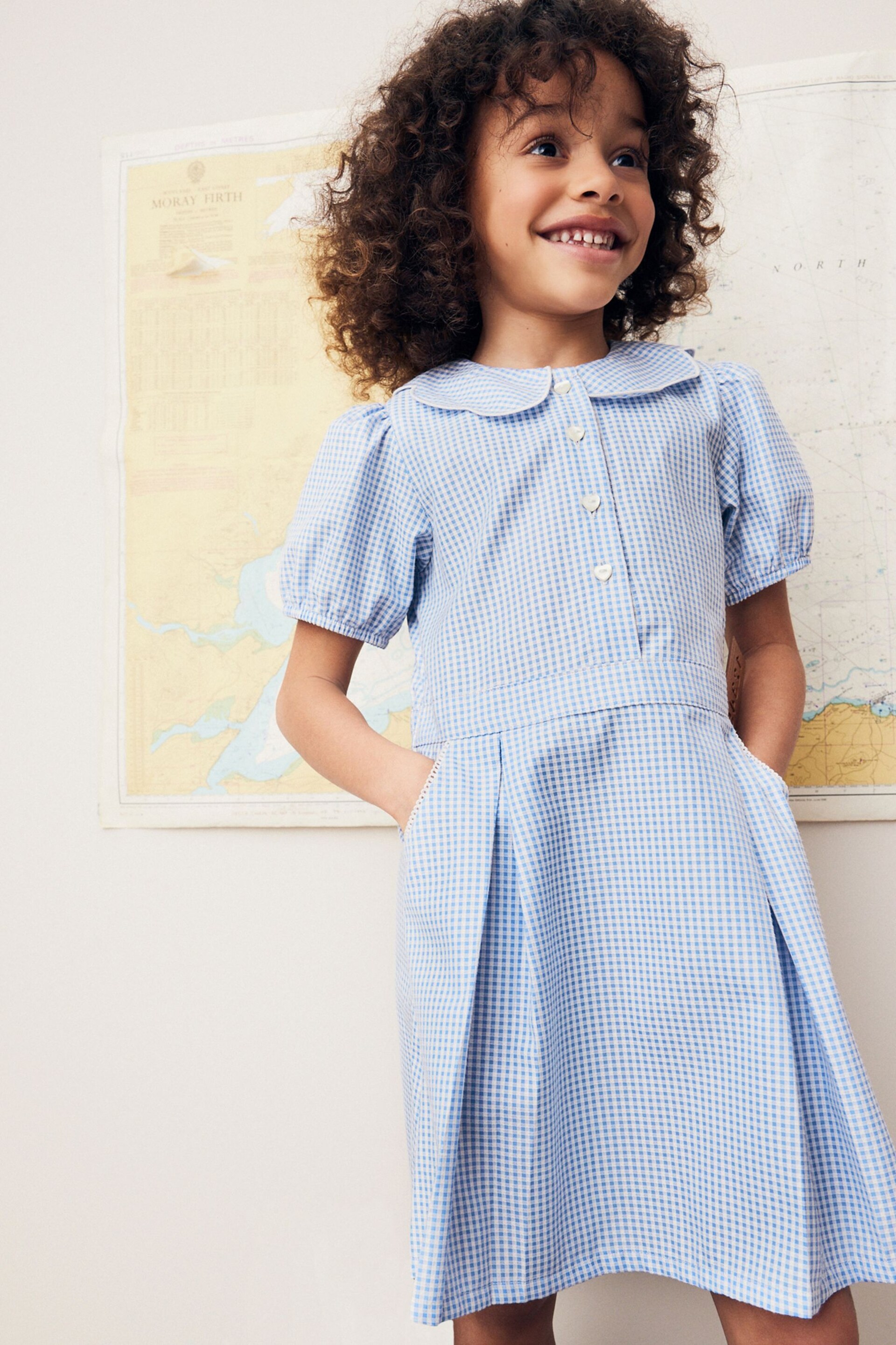 Blue Cotton Rich Scalloped Collar Gingham School Dress (3-14yrs) - Image 1 of 8