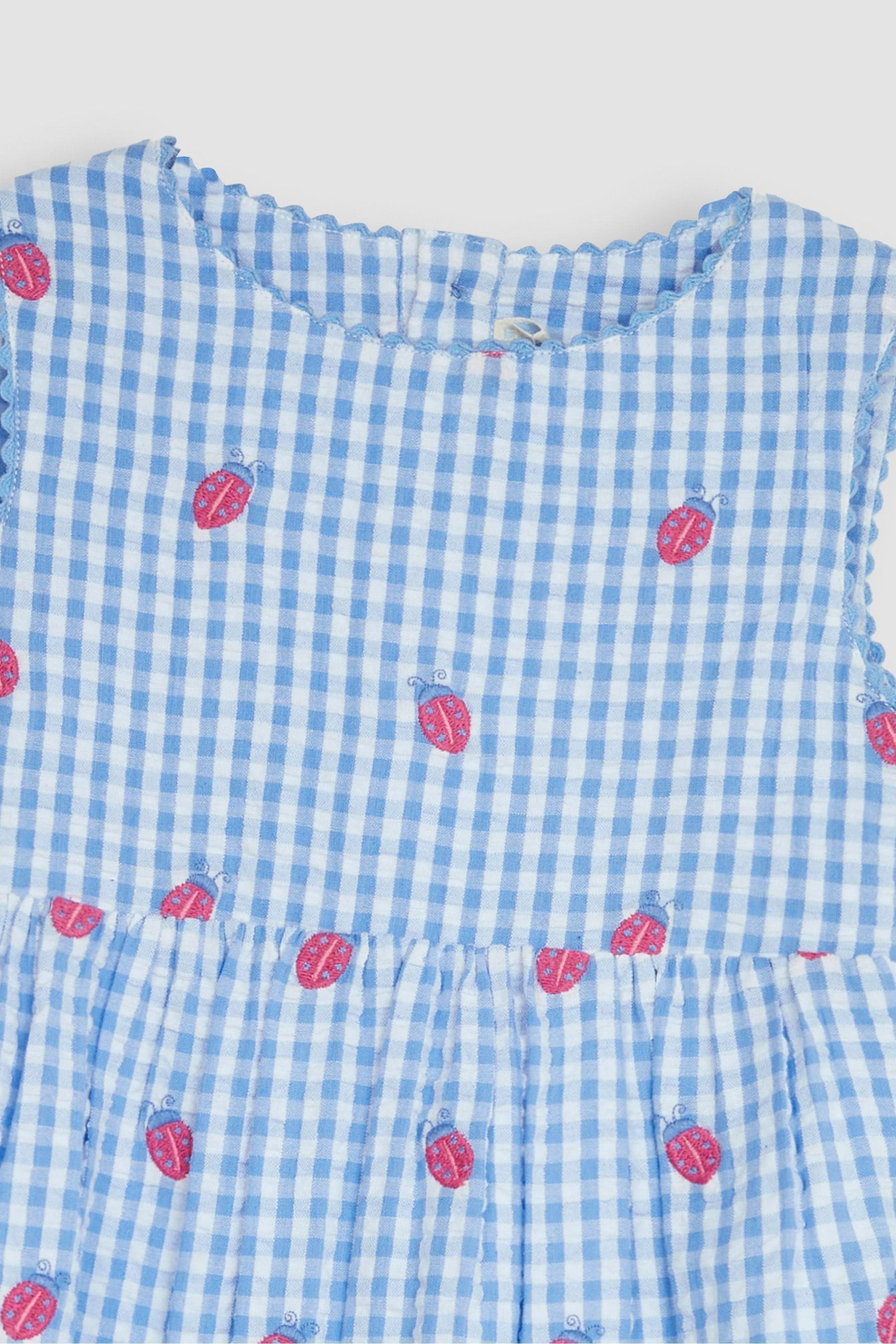 Buy JoJo Maman Bebe Blue Ladybird Gingham Embroidered Summer Dress from Next Luxembourg