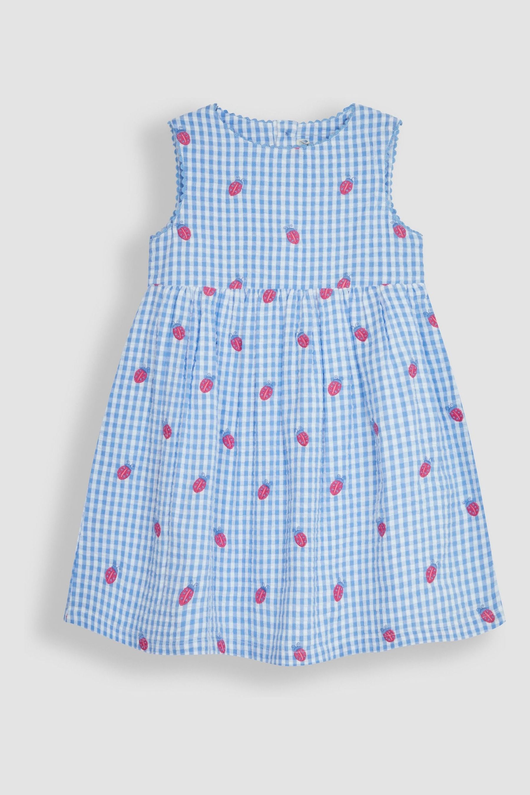 Buy JoJo Maman Bebe Blue Ladybird Gingham Embroidered Summer Dress from Next Luxembourg