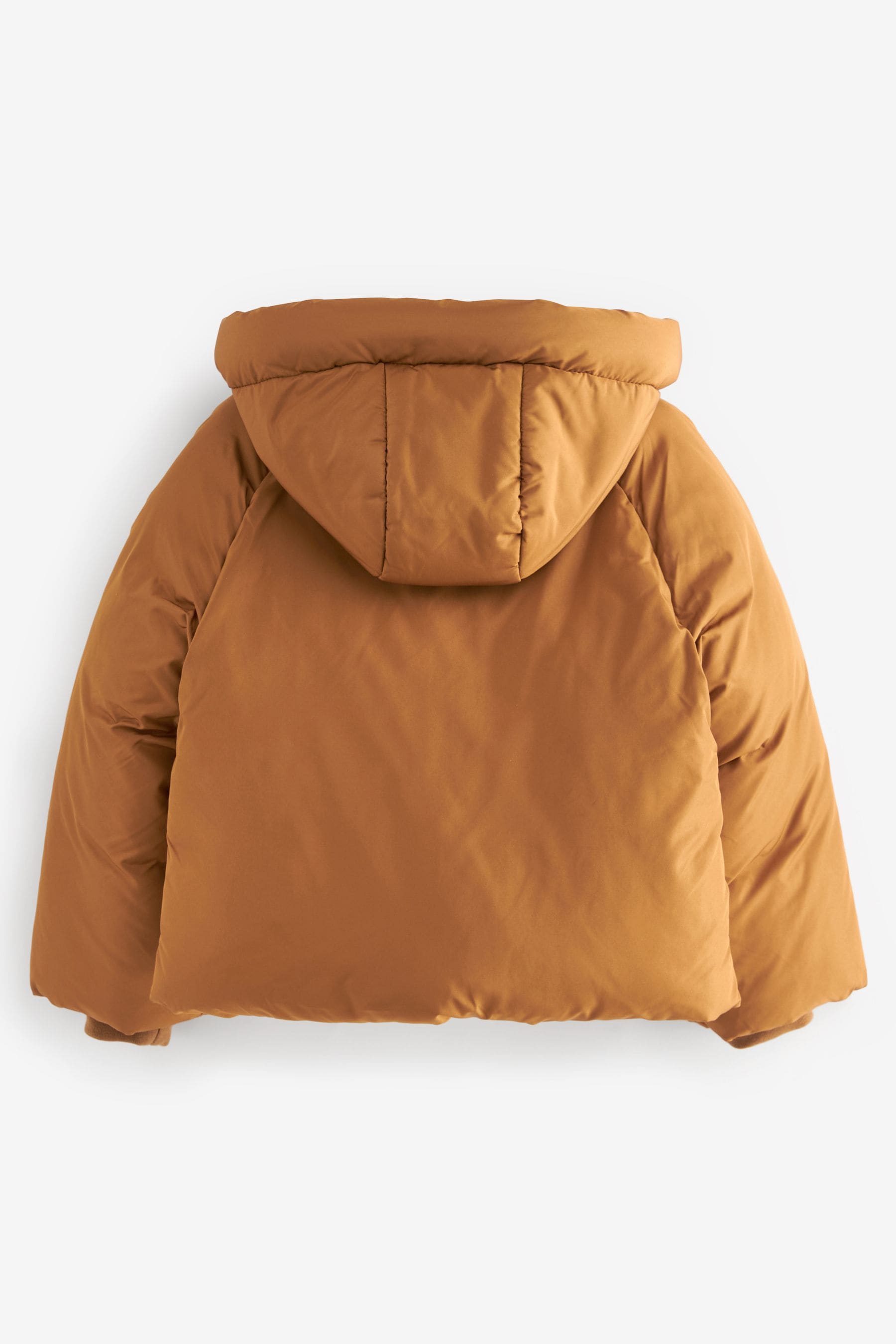 Buy Shower Resistant Crop Padded Coat 2 16yrs Next Ukraine