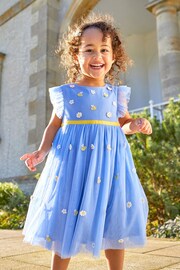 JoJo Maman Bébé Cornflower Daisy & Bee Embroidered Tulle Party Dress - Image 2 of 7