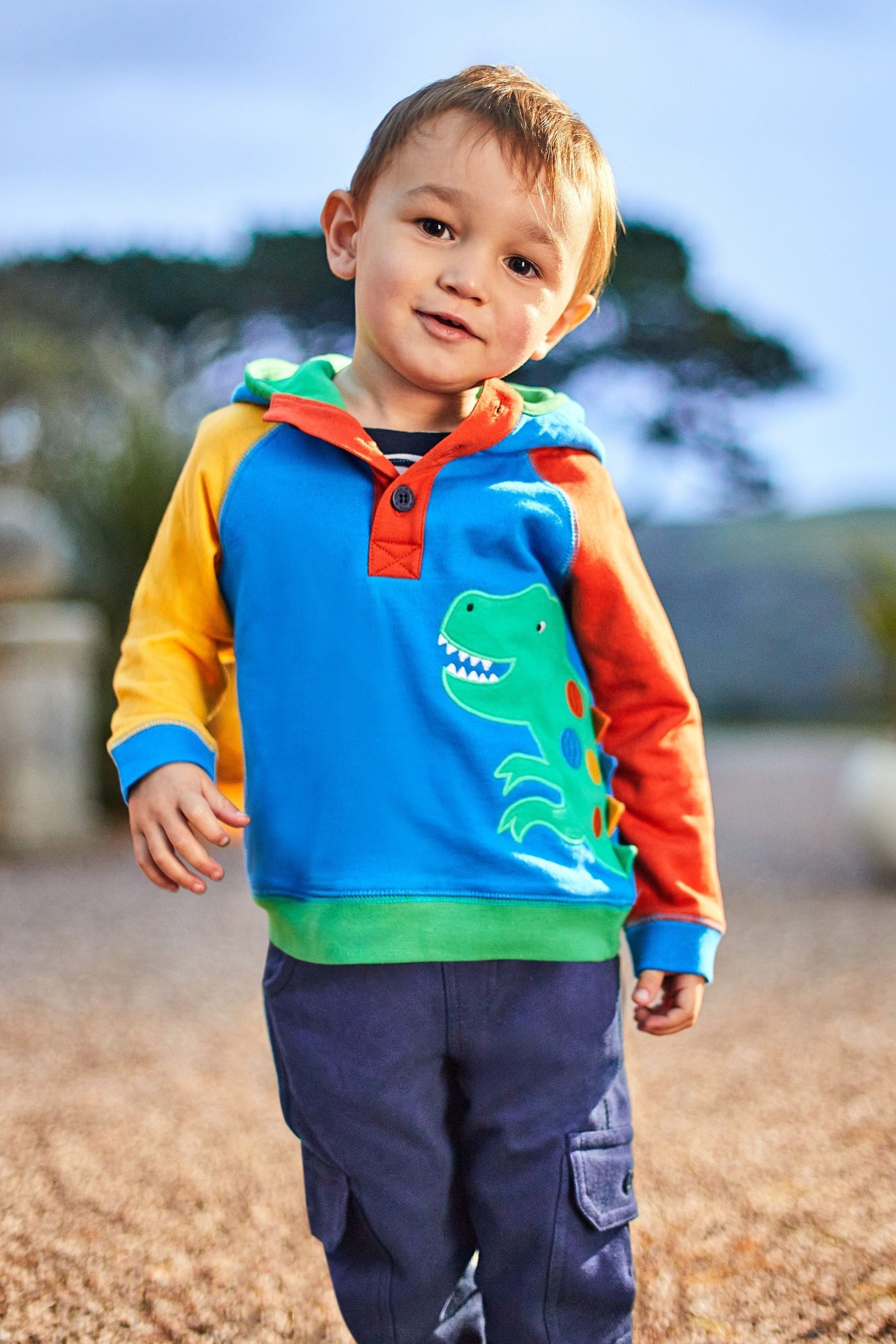 Jojo maman bebe dinosaur hoodie store