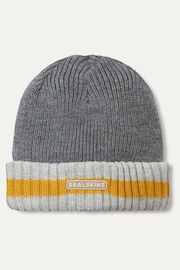 Sealskinz Holkham Waterproof Cold Weather Striped Roll Cuff Beanie - Image 1 of 2