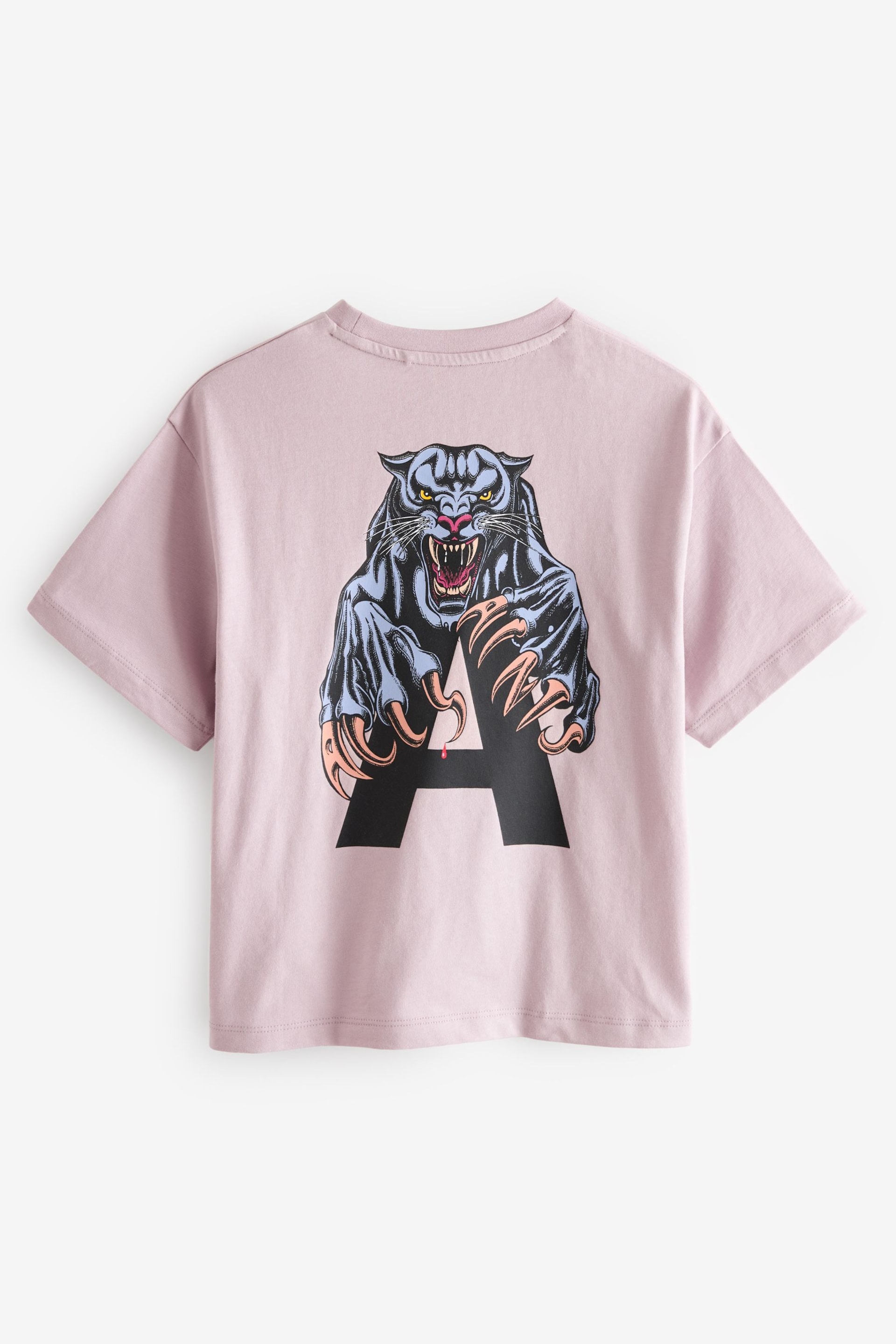 smALLSAINTS Pale Pink/Beast Boys Graphic Oversized Crew T-Shirt - Image 6 of 8