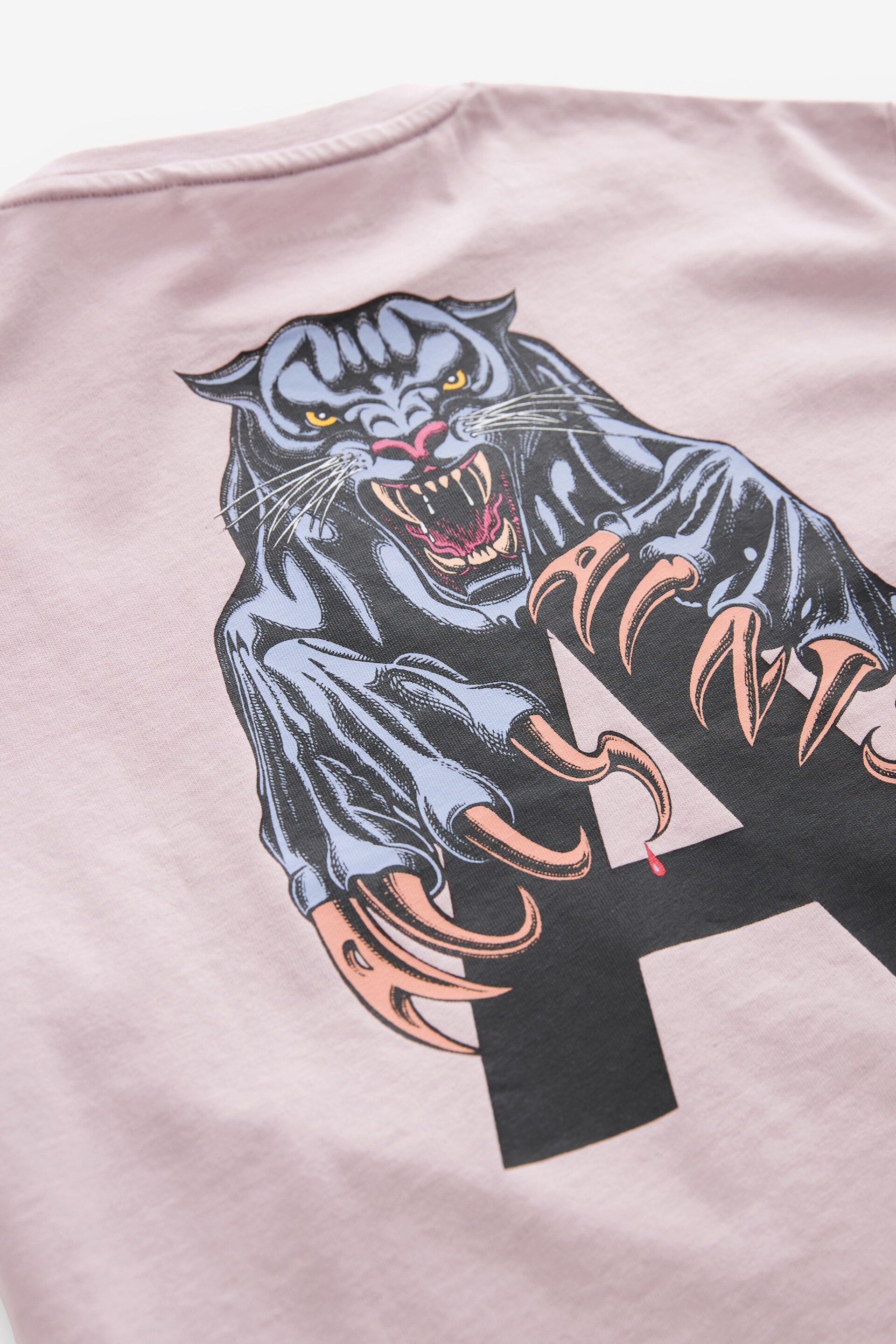 smALLSAINTS Pale Pink/Beast Boys Graphic Oversized Crew T-Shirt - Image 7 of 8