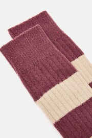 Joules Gibson Tan Brown Striped Socks - Image 2 of 3