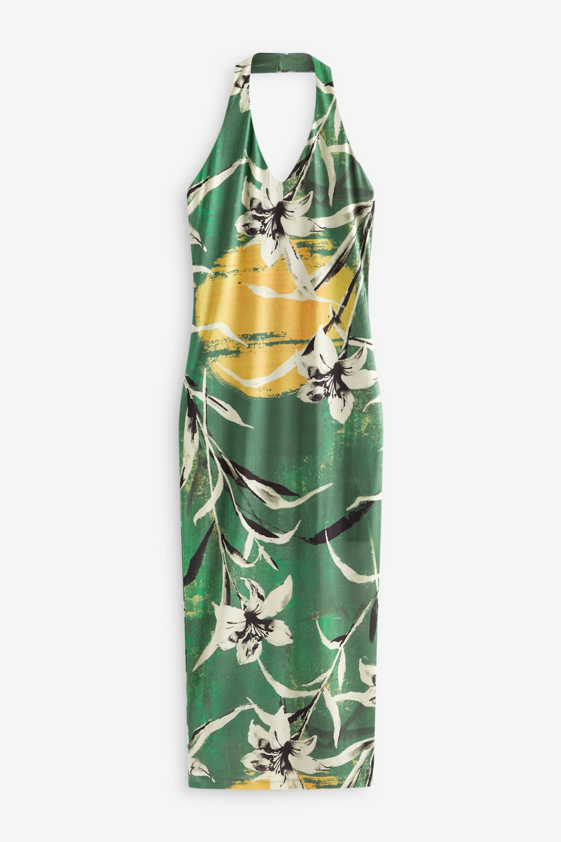 Green Floral Print Halter Neck Maxi Dress - Image 6 of 7