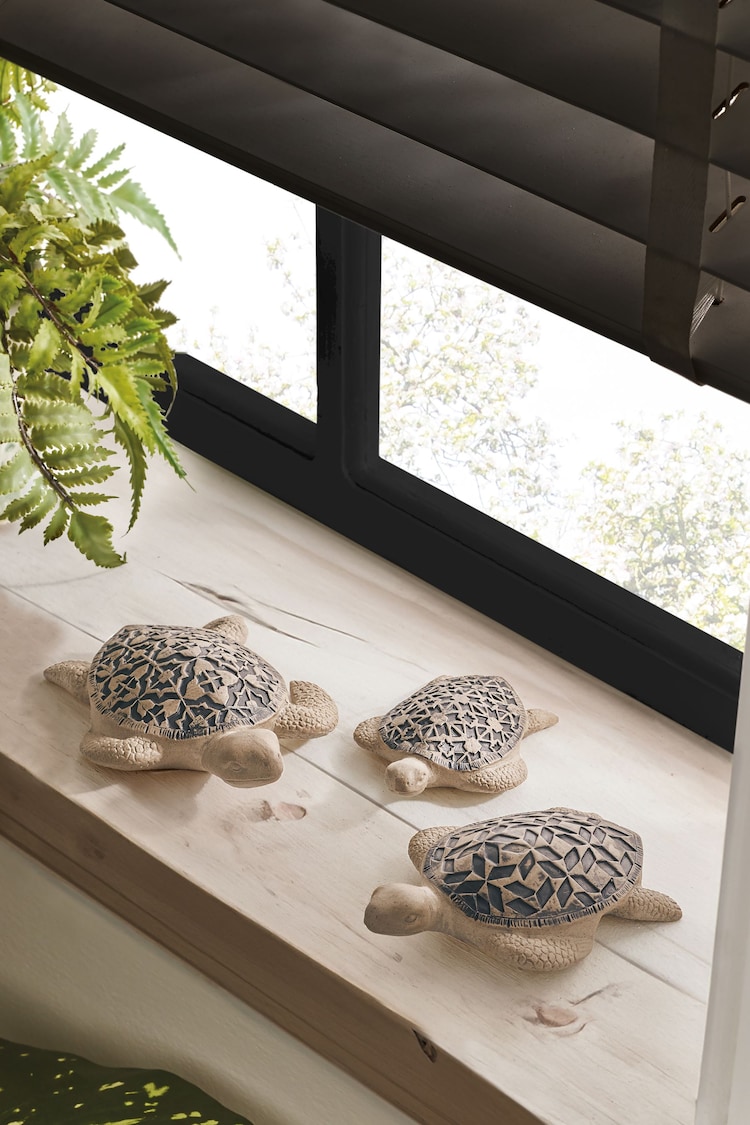 Natural Geo Turtle Ornaments Set of 3 - Image 1 of 4