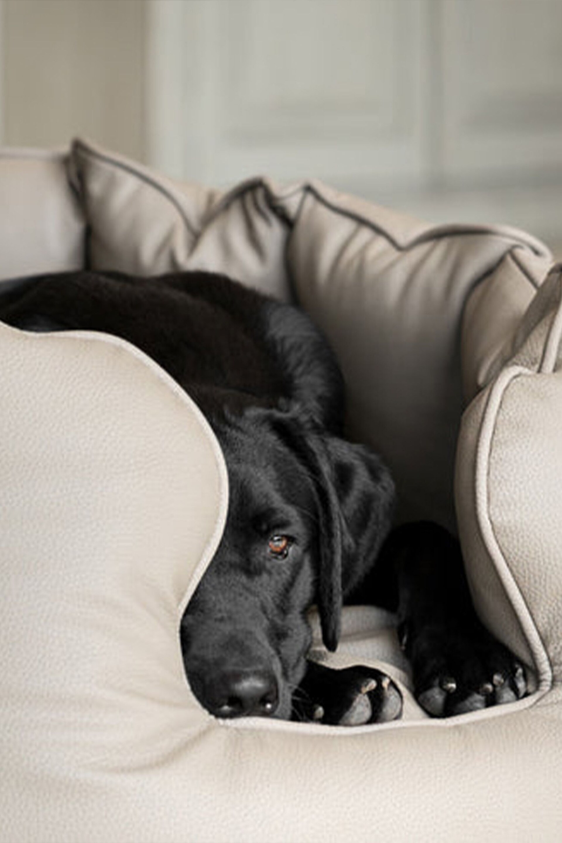 Lords and Labradors Mink Brown High Sided Dog Bed Rhino Leather - Image 5 of 6