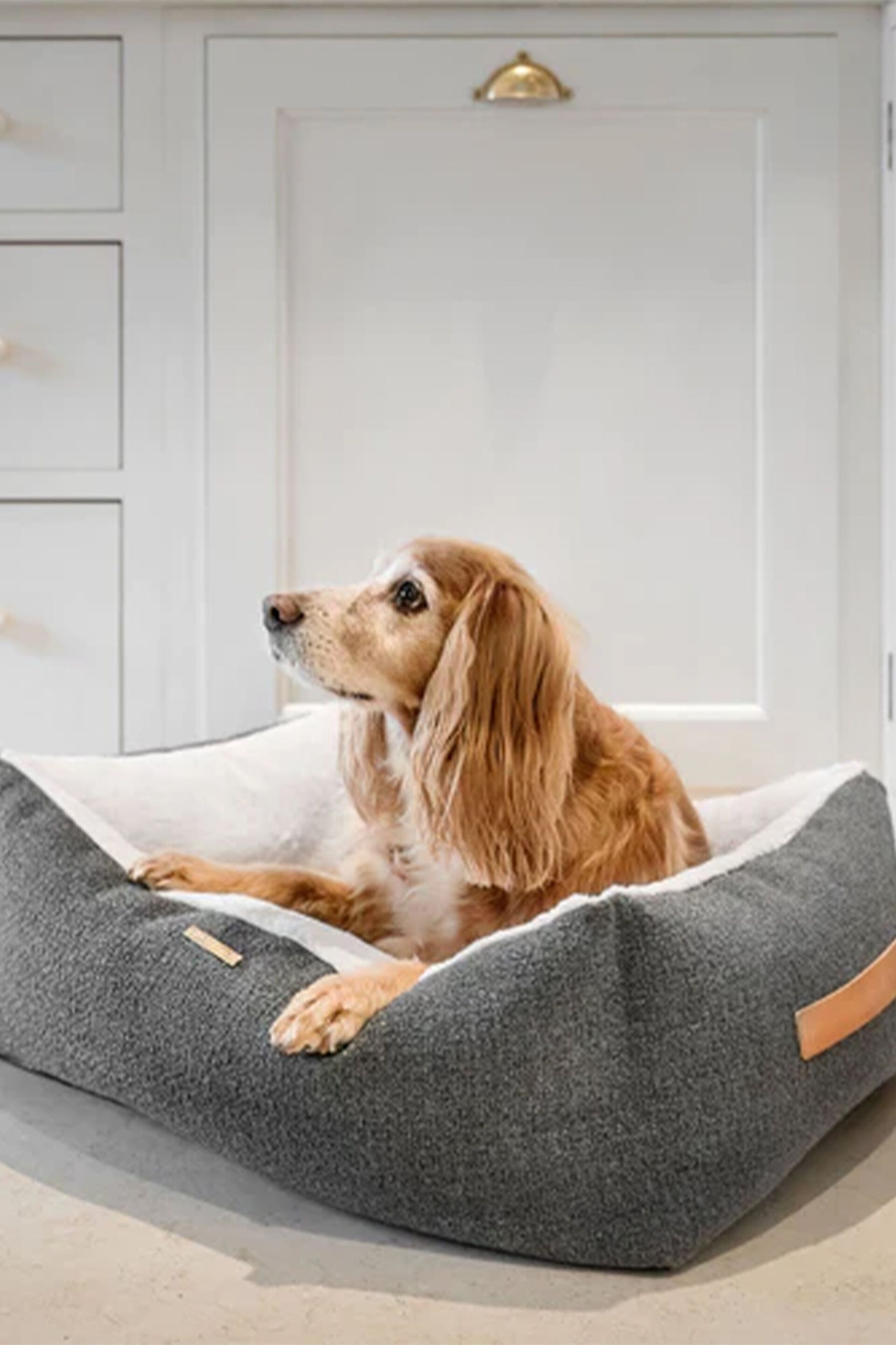 Lords and Labradors Grey Essentials Herdwick Dog Box Bed - Image 1 of 5