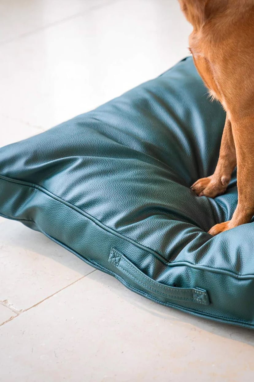 Lords and Labradors Green Handled Dog Cushion Rhino Leather - Image 5 of 5
