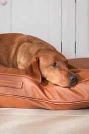 Lords and Labradors Tan Brown Handled Dog Cushion Rhino Leather - Image 2 of 5