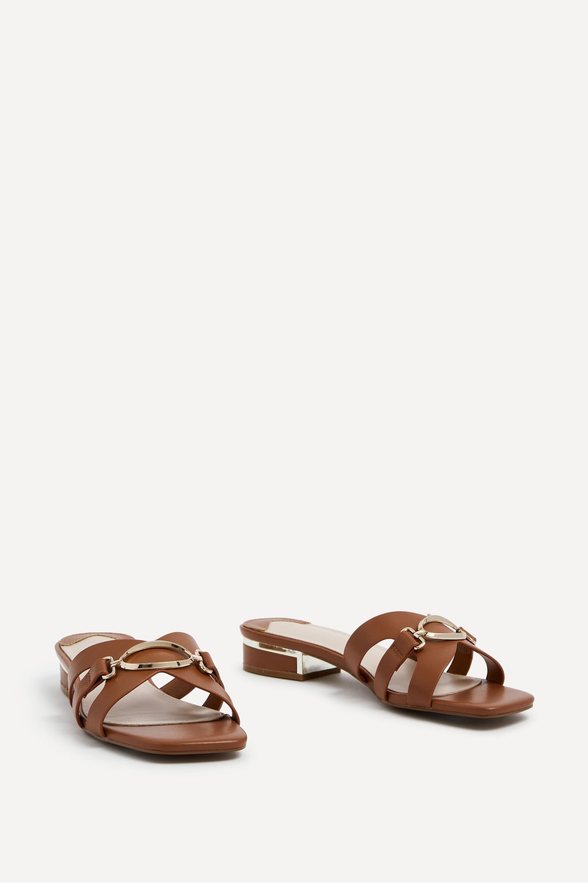 Linzi Brown Gallery Low Heeled Sandals With Gold Trim - Image 3 of 5