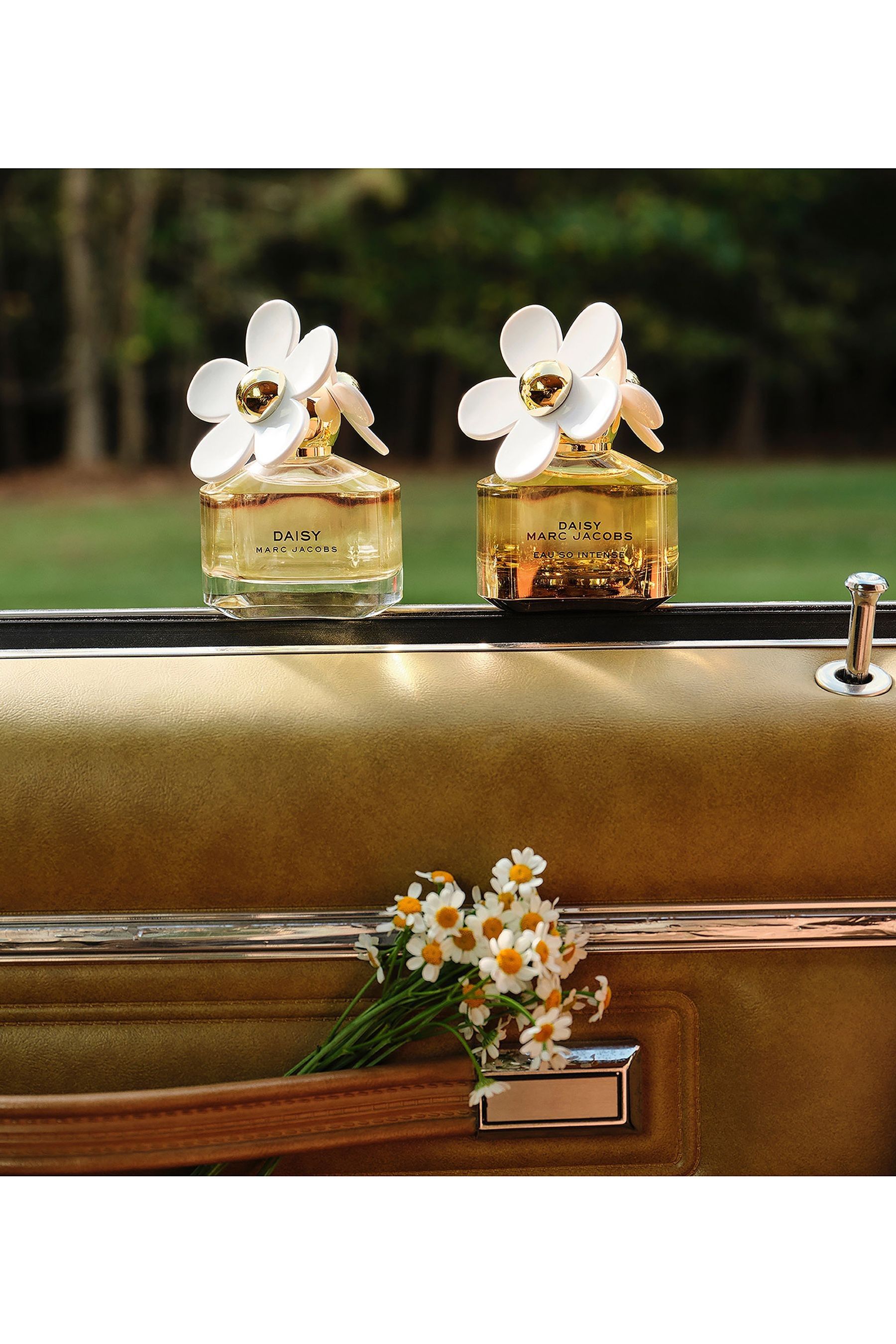 Next daisy perfume clearance