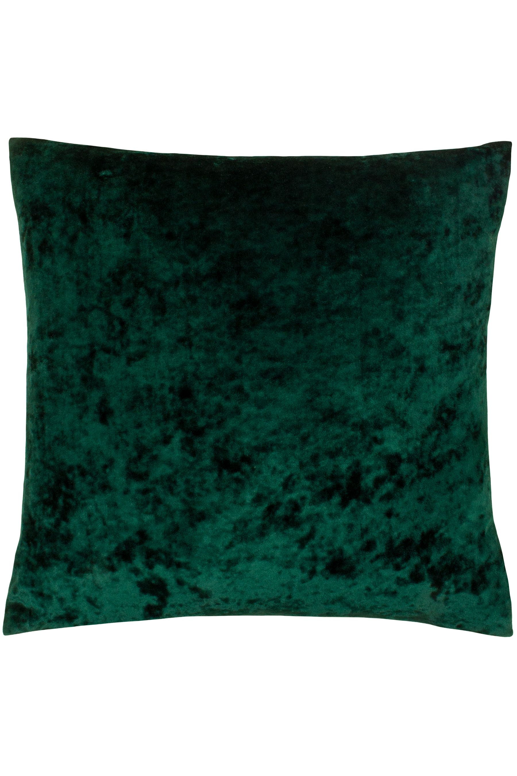 Paoletti crushed velvet cushions clearance