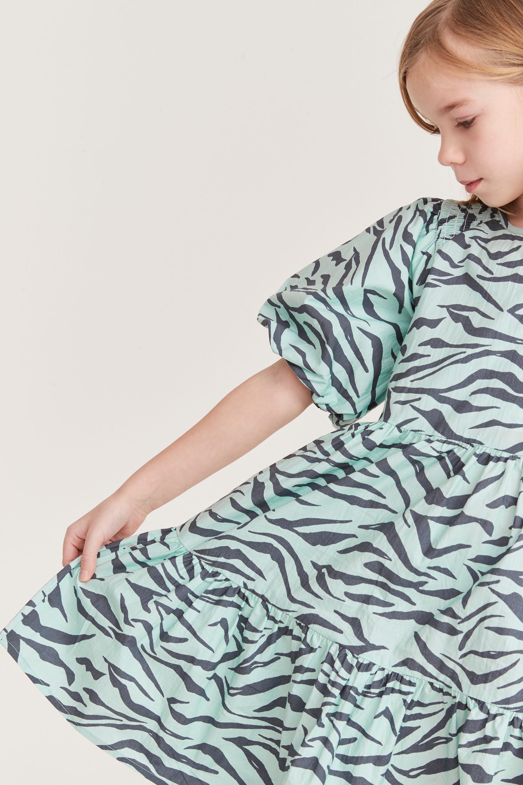 Buy Mint Velvet Zebra Print Green Puff Sleeve Dress from Next Estonia