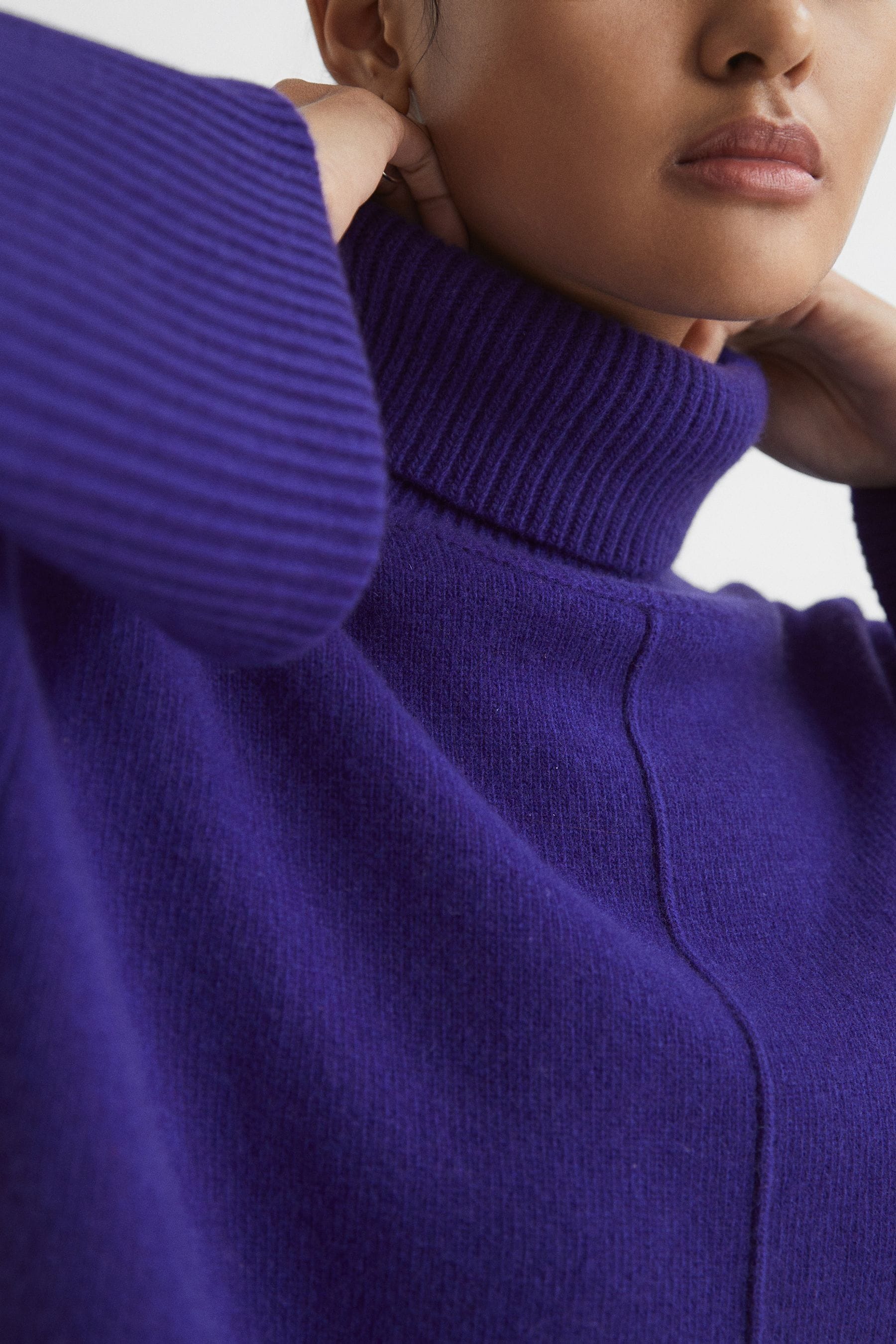 Buy Reiss Purple Sarah Wool Cashmere Roll Neck Jumper from Next Lithuania