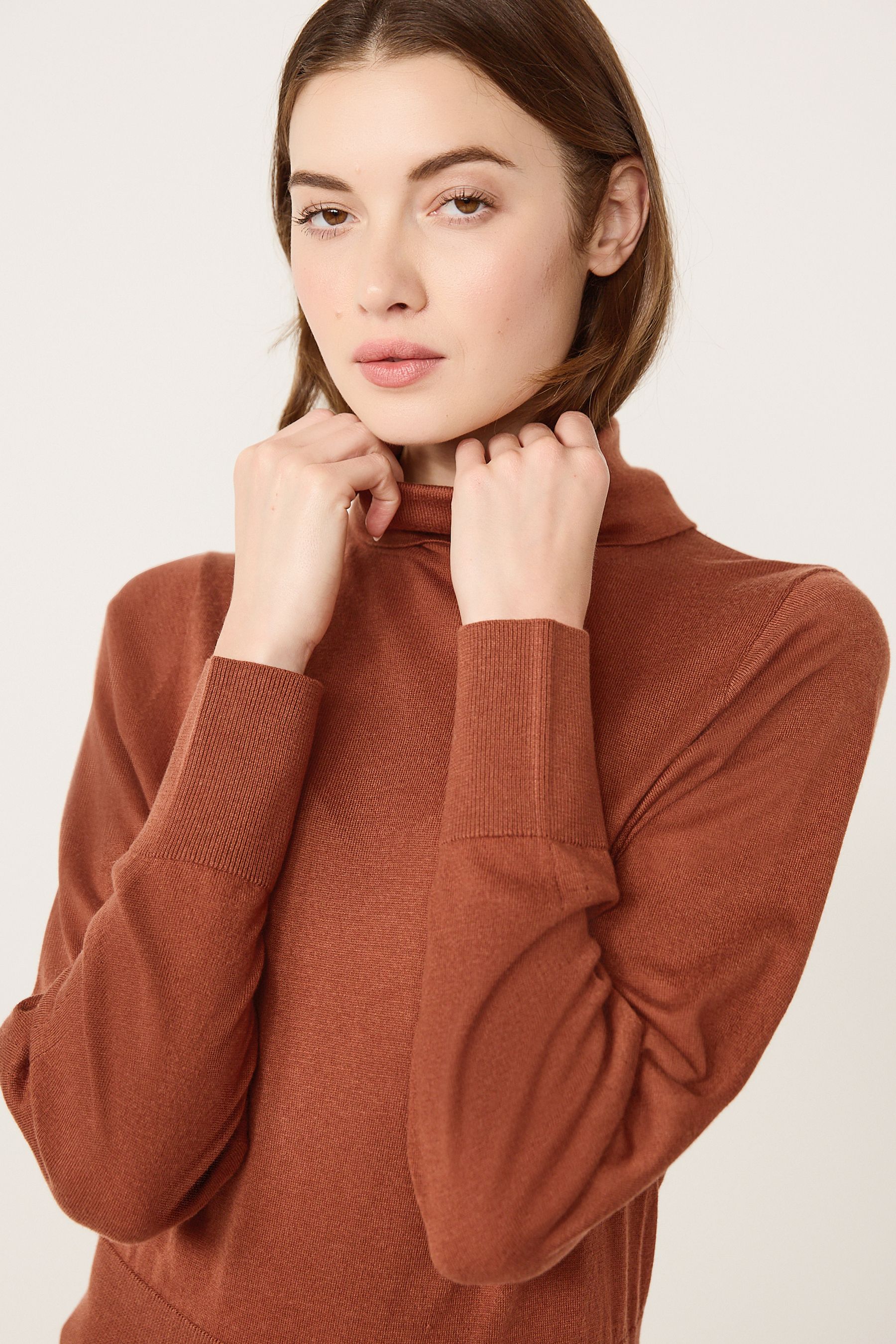 Buy Rust Brown Roll Neck Jumper from Next Ireland